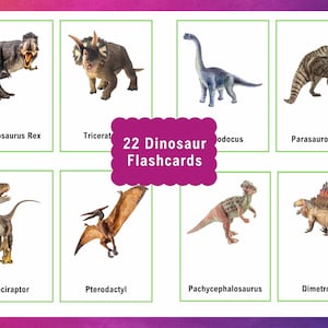 Tarjetas didácticas de dinosaurios para niños educativas / tarjetas educativas / educación en el hogar imprimibles / plan de estudios preescolar / tarjetas flash para niños / digitales