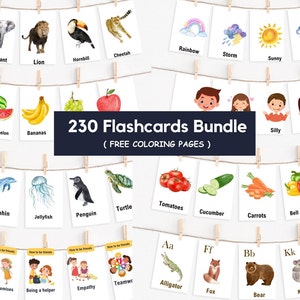 Flashcards Bundle , Montessori flash cards , Educational flashcards printable , Flashcards For Kids Education , flashcards for toddlers