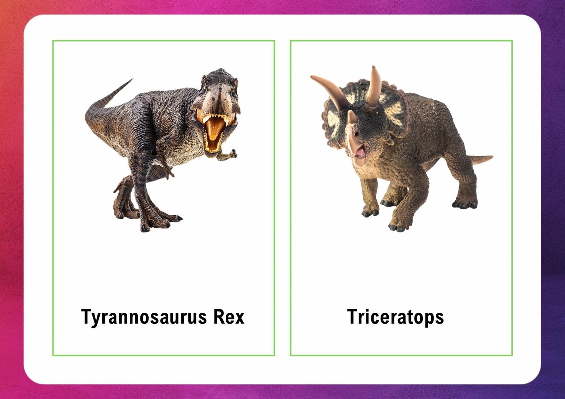 Dinosaur Flashcards for Kids Educational Educational Cards Homeschool ...