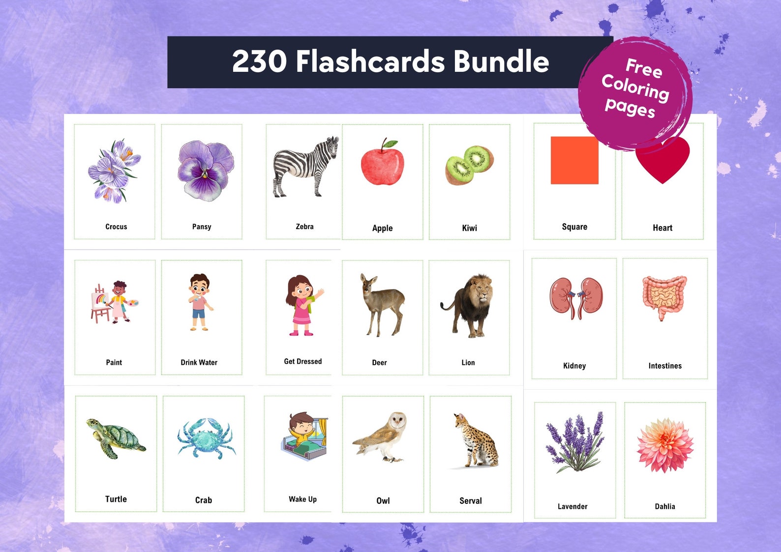 Flashcards for Kids Education | Montessori Printable | Flashcards for