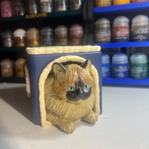 The cat house deck box