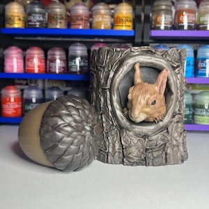 Squirrel bundle
