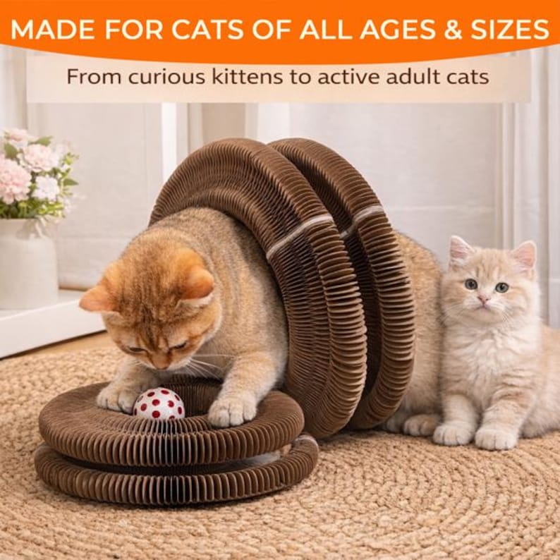 Op de afbeelding: Een bruine kartonnen krabpaal met twee katten. E&eacute;n kat speelt met een rood-witte bal, terwijl de andere kat in de buurt zit. De tekst bovenaan luidt "MADE FOR CATS OF ALL AGES & SIZES".