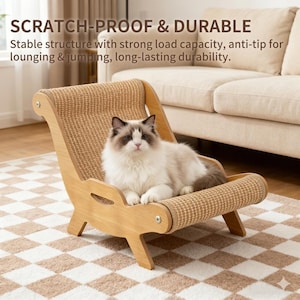 May include: A light brown cat lounging in a wooden cat chair with a woven sisal seat and back. The chair has a curved design and is labeled "SCRATCH-PROOF & DURABLE". The cat is white and brown with blue eyes.