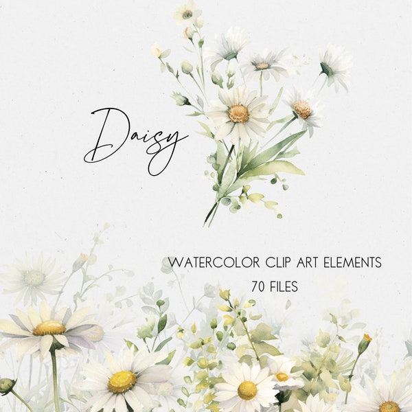 Daisy Flower Aquarell ClipArt | Gänseblümchen-Blume PNG | Weißes Blumenaquarell | Kartenelement | Grußkarten-Dekor | Kommerzielle Nutzung