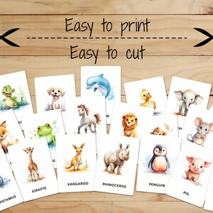 32 Montessori Cards • Animals • English • Printable Flashcards ...