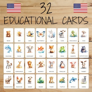 32 Montessori Cards • Animals • English • Printable Flashcards • Education • For Kids • Learning • Categorized Images
