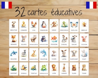 32 Montessori Cards • Animals • French • Printable Flashcards • Education • For Kids • Learning • Classified Pictures