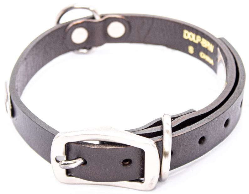 May include: A black leather dog collar with a silver-colored buckle and ring. The collar has a small metal ring for attaching a leash and is approximately 1 inch wide. The collar is labeled "DOLP-BRN S CHINA".