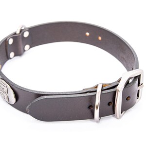 May include: A black leather dog collar with a silver-colored buckle and a decorative metal emblem. The collar has several holes for adjustment and is designed to be worn around a dog's neck.