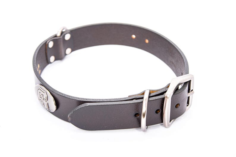 May include: A black leather dog collar with a silver-colored buckle and a decorative metal emblem. The collar has several holes for adjustment and is designed to be worn around a dog's neck.
