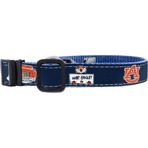 May include: Blue and orange dog collar with an Auburn University logo and the words "War Eagle!"