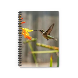 Hummingbird-Spiral Notebook