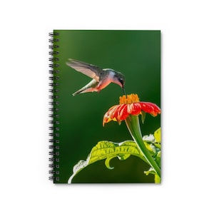 Hummingbird-Spiral Notebook - Ruled Line