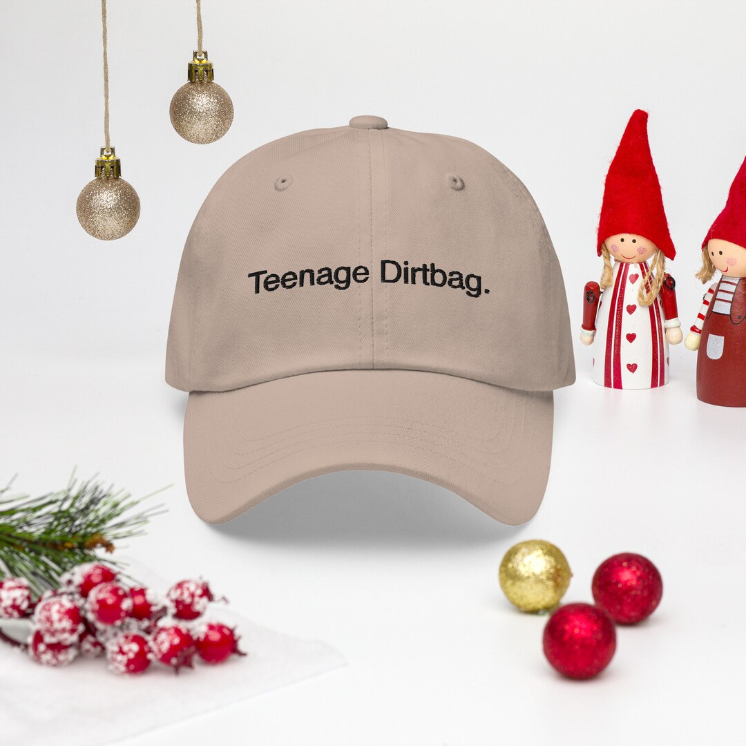 Teenage Dirtbag Hat Embroidered Dad Hats Y2k Throwback Etsy