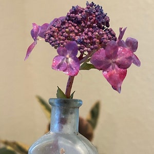 Antique Three In One Oil Empty Aqua Bottle 5in., Decorative Bottle, Collectible Bottle,