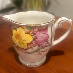 Queen Anne Fine Bone China Teacup Made in England