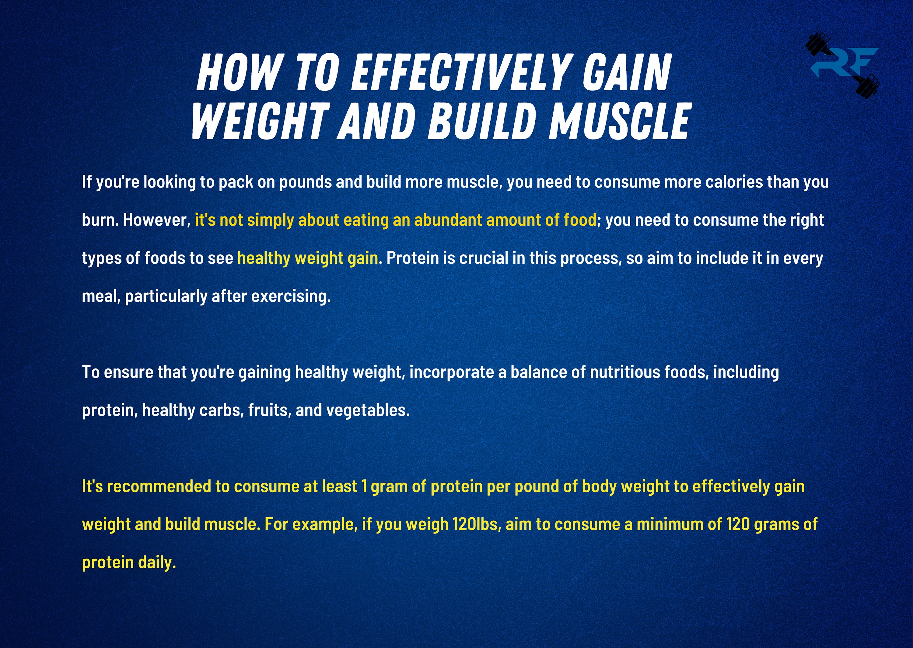 Muscle Building Meal Guide - Etsy