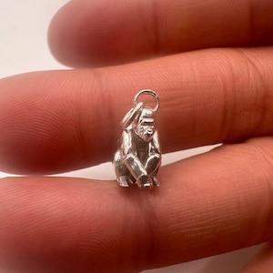 Puede incluir: Un pequeño dije de plata en tres dimensiones con forma de gorila sentado. La figura metálica presenta rasgos faciales detallados y un cuerpo texturizado, con una argolla circular unida en la parte superior para colgar en una cadena o pulsera.