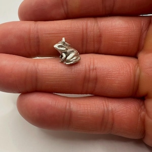 Colgante de rana - plata de ley