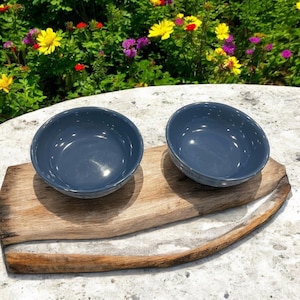 Pottery Barn Ocean Blue Cambria Soup Cereal Bowls 2 Dishes