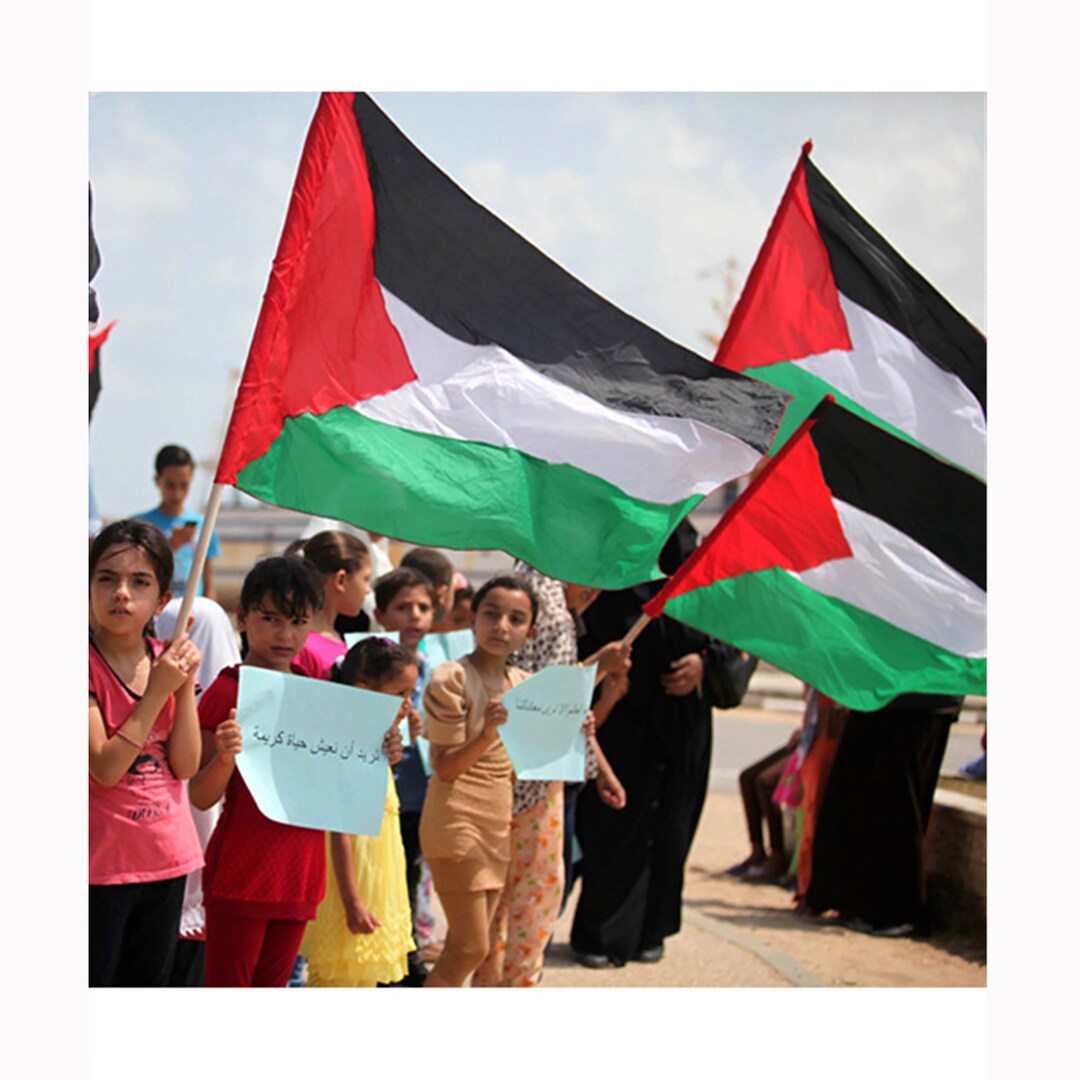 Palestine Flag Free Palestine Flag Arab Palestinian - Etsy UK
