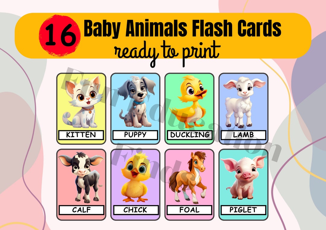 16 Baby Animals Flash Cards Baby Animals Printable Flash - Etsy
