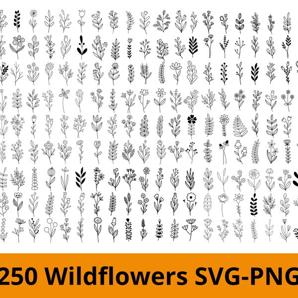 250 WILDFLOWERS SVG Super BUNDLE Leaves Hand Drawn Png for Shirt Cup Wildflowers Art Svg Cricut Silhouette Floral Svg Png
