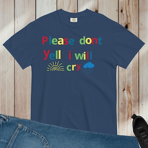 Please dont yell I will cry - Unisex heavyweight t-shirt - kiddycore aesthetics, silly clown shirt, Weird gift, Silly stupid shirt, dumb tee