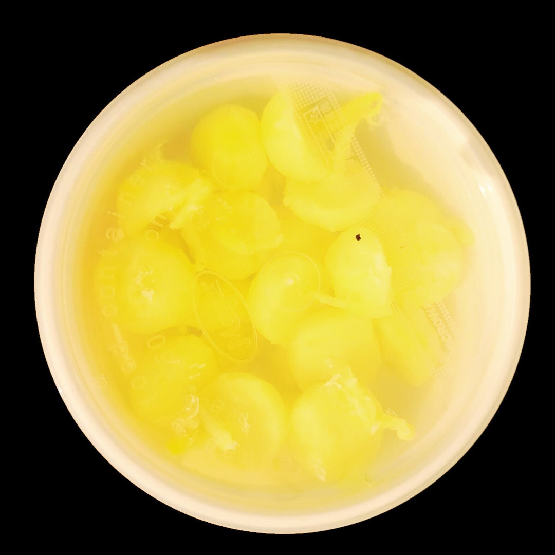 Ghee Diya Batti With Camphor for Pooja/ Pooja Items/ Kapur Etsy