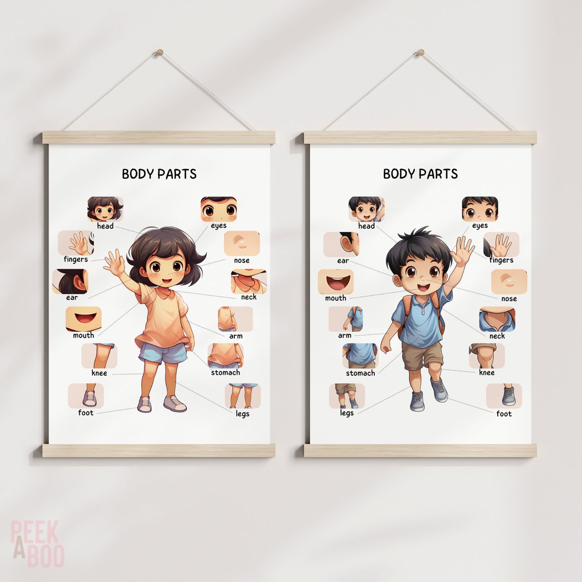 Body Parts Printable Homeschool Educational Poster Anatomy of Body ...