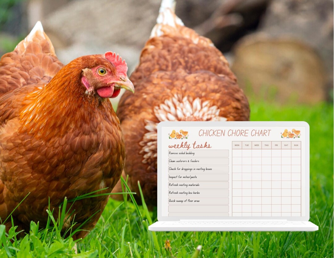 Chicken Chore Chart Printable, Weekly Coop Cleaning Worksheet PDF ...