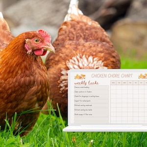 以下が含まれることがあります： 緑の草の中にいる茶色の鶏と、"Chicken Chore Chart"が表示されたラップトップ。チャートには、毎週のタスクがリストされています。チャートは、フローラルデザインの薄いベージュ色の背景です。