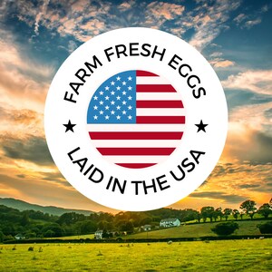 Etiket eierdoos "Farm Fresh Eggs - Laid in the USA" - sticker eierdoos - kip cadeau - sticker op datum - achtertuin kip