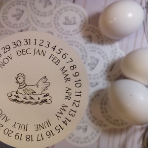 Leuke eierdoos kalender datum sticker met kip in het nest - ei datum sticker - kip cadeau - gelegd op datum sticker - achtertuin kip