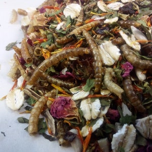 Holiday Chicken Treat, Peppermint Scented -  Herb Protein Blend Poultry Foraging Enrichment Christmas Gift Backyard Chickens