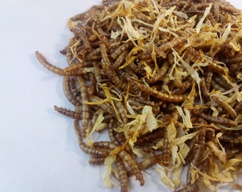 May include: A close-up of a pile of dried mealworms and dried flower petals. The mealworms are brown and the flower petals are white.