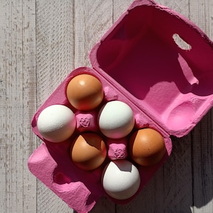 Pink Egg Carton: Recycled Pulp, Holds 6 Eggs