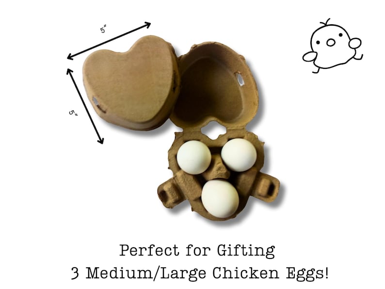 Paper Pulp Favour Heart Shaped 3 Egg Carton, Paper Pulp Favor Box, Chicken Owner Supply ...