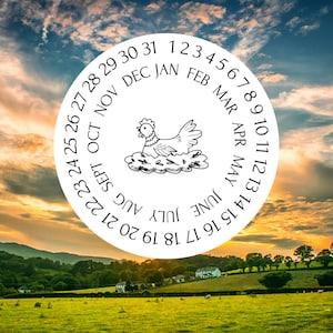 Eierdoos gelegd op datumlabel met schattige nestelende kip - ei-datumsticker - kip cadeau - sticker gelegd op datum - kip achtertuin