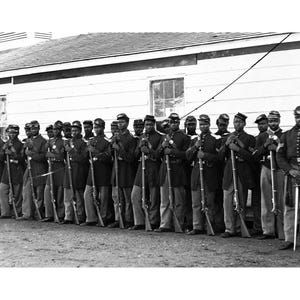 African American 8 x 10 Photo Vintage A Famous Photo Buffalo Soldiers post Civil War