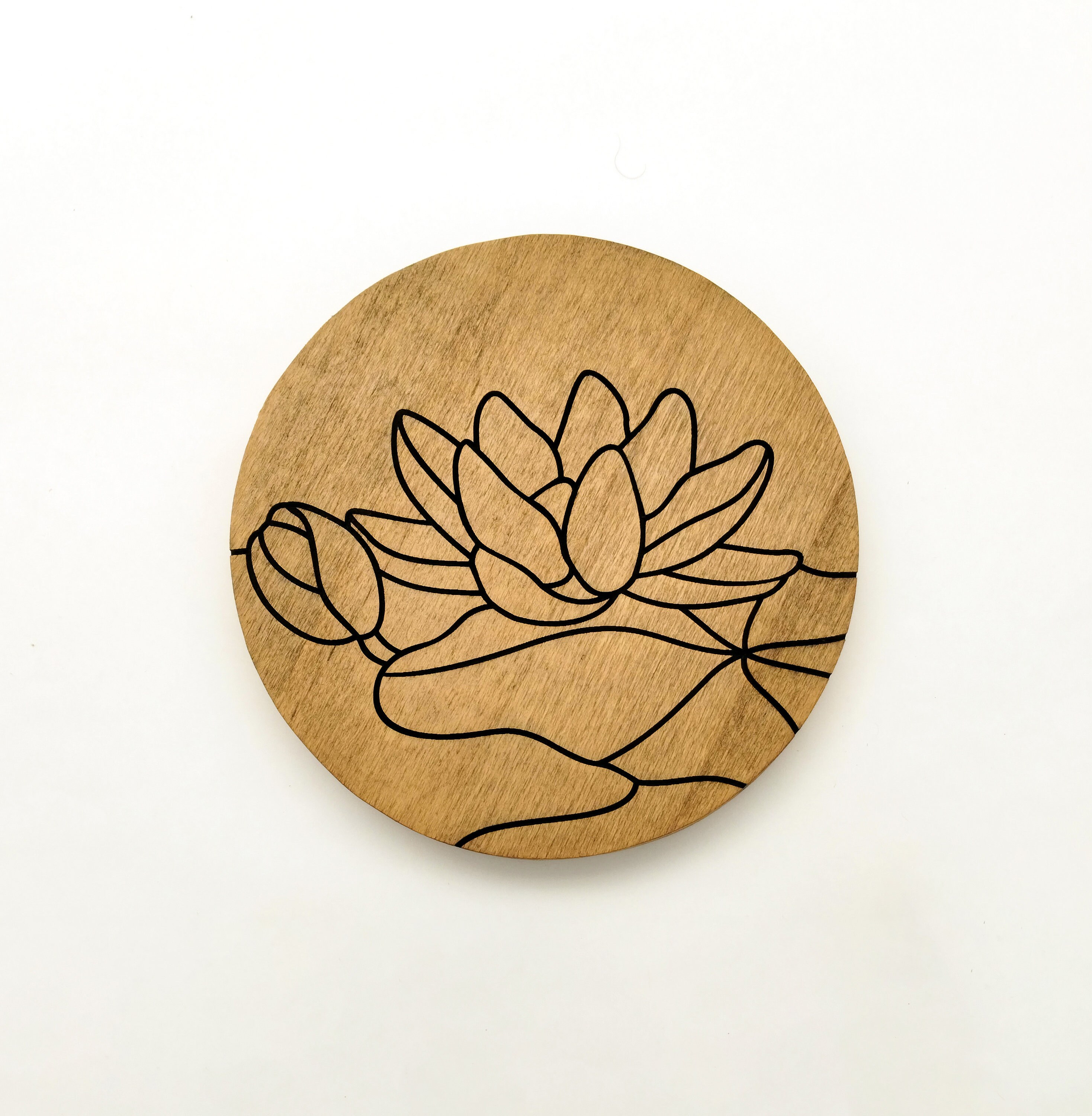 Wooden Painting Kit by Number, DIY Craft Kit for Kids and Adults, Wood