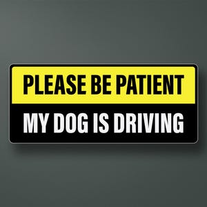Sticker studentchauffeur: even geduld, mijn hond rijdt.