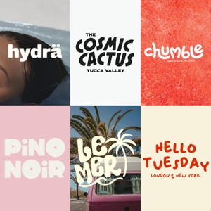 Può includere: Un collage di sei grafiche con testo. I design includono le parole "hydra", "The Cosmic Cactus, Yucca Valley", "chumble", "Pino Noir", "Le Mer" e "Hello Tuesday, London & New York". Ogni design ha una tavolozza di colori e uno stile di carattere unici.