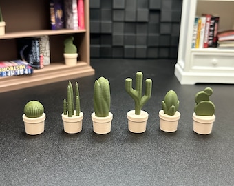 1/6 Scale Miniature Cactus Decor / Mini Bookshelf / Bookshelf Decor / Succulent / Booktok / Miniature / Mini Brands