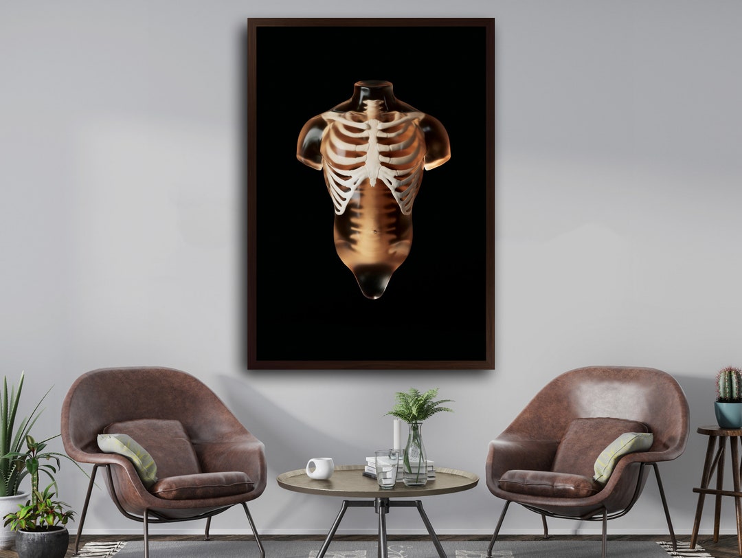 Translucent Skeleton Translucent Reverie: Skeleton of a Transparent Bodyskeleton - Etsy