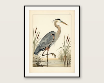 Antique Blue Heron Print, Vintage Bird Illustration, Audubon Style (Digital Download)