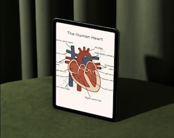 Heart Anatomy, Human Heart Anatomy, Heart Anatomy Diagram/Poster, Digital Download