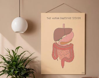 Digestive System Poster, Digestive System Diagram, Anatomy Art Labeled/Unlabeled