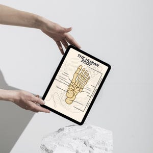 Foot Anatomy Diagram, Labeled/Unlabeled Anatomy Flashcard, Bone Anatomy Digital Download